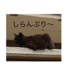 天使の笑顔  集合！（個別スタンプ：23）