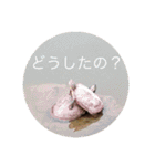天使の笑顔  集合！（個別スタンプ：24）