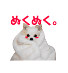 チワワのマレたん Vol.3（個別スタンプ：8）