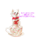 チワワのマレたん Vol.3（個別スタンプ：11）