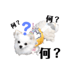 チワワのマレたん Vol.3（個別スタンプ：18）