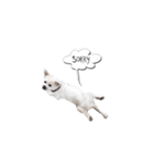 はっちゃんやで！ 2（個別スタンプ：4）