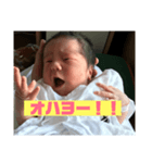 文人1 〜生後一日半〜（個別スタンプ：1）