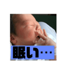 文人1 〜生後一日半〜（個別スタンプ：8）