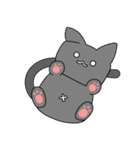 四角ネコちゃん（個別スタンプ：1）