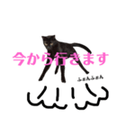 アクティブ・にゃんこ5（個別スタンプ：7）