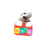 凸凹ブラザーズ（個別スタンプ：4）