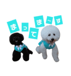 凸凹ブラザーズ（個別スタンプ：6）
