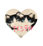 ねこ  にゃー！（個別スタンプ：8）