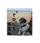 ぶち犬に愛を（個別スタンプ：8）