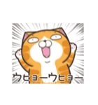 動く！ランラン猫 (Japanese ver.)（個別スタンプ：1）
