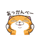 動く！ランラン猫 (Japanese ver.)（個別スタンプ：3）