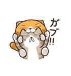 動く！ランラン猫 (Japanese ver.)（個別スタンプ：4）