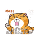 動く！ランラン猫 (Japanese ver.)（個別スタンプ：7）