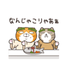 動く！ランラン猫 (Japanese ver.)（個別スタンプ：15）