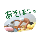 ちこちこフォト（個別スタンプ：2）