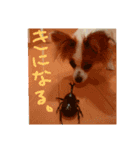 ちこちこフォト（個別スタンプ：8）