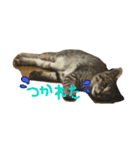 ガストン スタンプ（個別スタンプ：4）