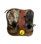 ガストン スタンプ（個別スタンプ：10）