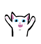 大人かわいい白猫さん(文字なし)（個別スタンプ：13）