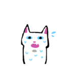 大人かわいい白猫さん(文字なし)（個別スタンプ：17）