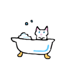 大人かわいい白猫さん(文字なし)（個別スタンプ：31）