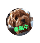 癒しのぱんちゃん（個別スタンプ：4）