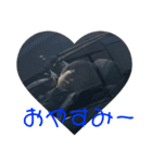 タコです。（個別スタンプ：13）