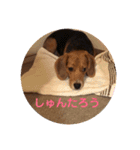 こまめスタンプ（個別スタンプ：2）