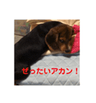 こまめスタンプ（個別スタンプ：6）