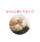 vivi＆coco（個別スタンプ：3）
