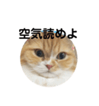 vivi＆coco（個別スタンプ：4）