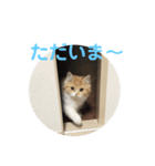 vivi＆coco（個別スタンプ：9）