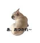 生意気ハナさん（個別スタンプ：9）