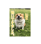 ファンキーモンキーモンキー（個別スタンプ：2）