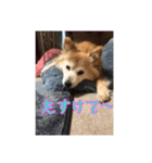 ファンキーモンキーモンキー（個別スタンプ：6）