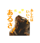 シンバと小町（個別スタンプ：3）