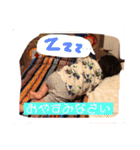 みきやくん（個別スタンプ：1）