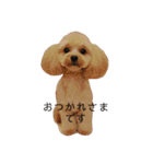 マルプー おもちくん（個別スタンプ：3）