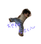 （＾ω＾）.（個別スタンプ：5）