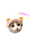 めろみる ❤︎ 1（個別スタンプ：1）
