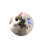 めろみる ❤︎ 1（個別スタンプ：9）
