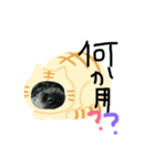 宮下わんわんず（個別スタンプ：7）