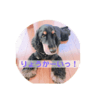 うぃるたんスタンプ（個別スタンプ：8）