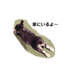うさぎのレミー①（個別スタンプ：4）