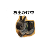 うさぎのレミー①（個別スタンプ：6）