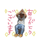 あつはん（個別スタンプ：18）