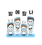 靴下家族（個別スタンプ：13）