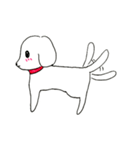 白い犬スタンプ（個別スタンプ：1）