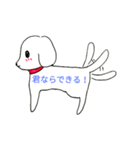 白い犬スタンプ（個別スタンプ：22）